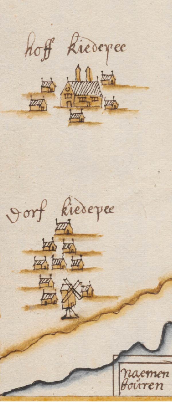 Kiwidepäh 1666 Kiwidepäh 1666